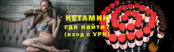 стаф Дмитриев
