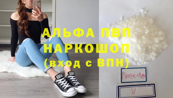 прущие грибы Дмитров