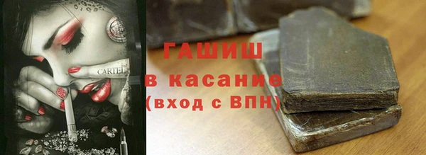 стаф Дмитриев