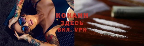 прущие грибы Дмитров