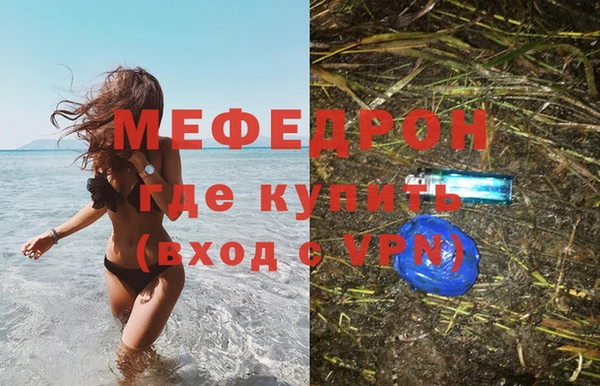 стаф Дмитриев