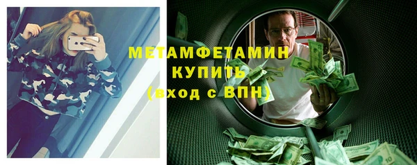 прущие грибы Дмитров