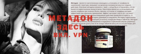 прущие грибы Дмитров