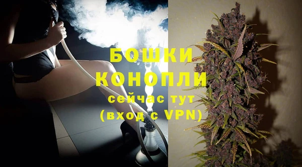 прущие грибы Дмитров