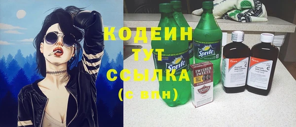 стаф Дмитриев